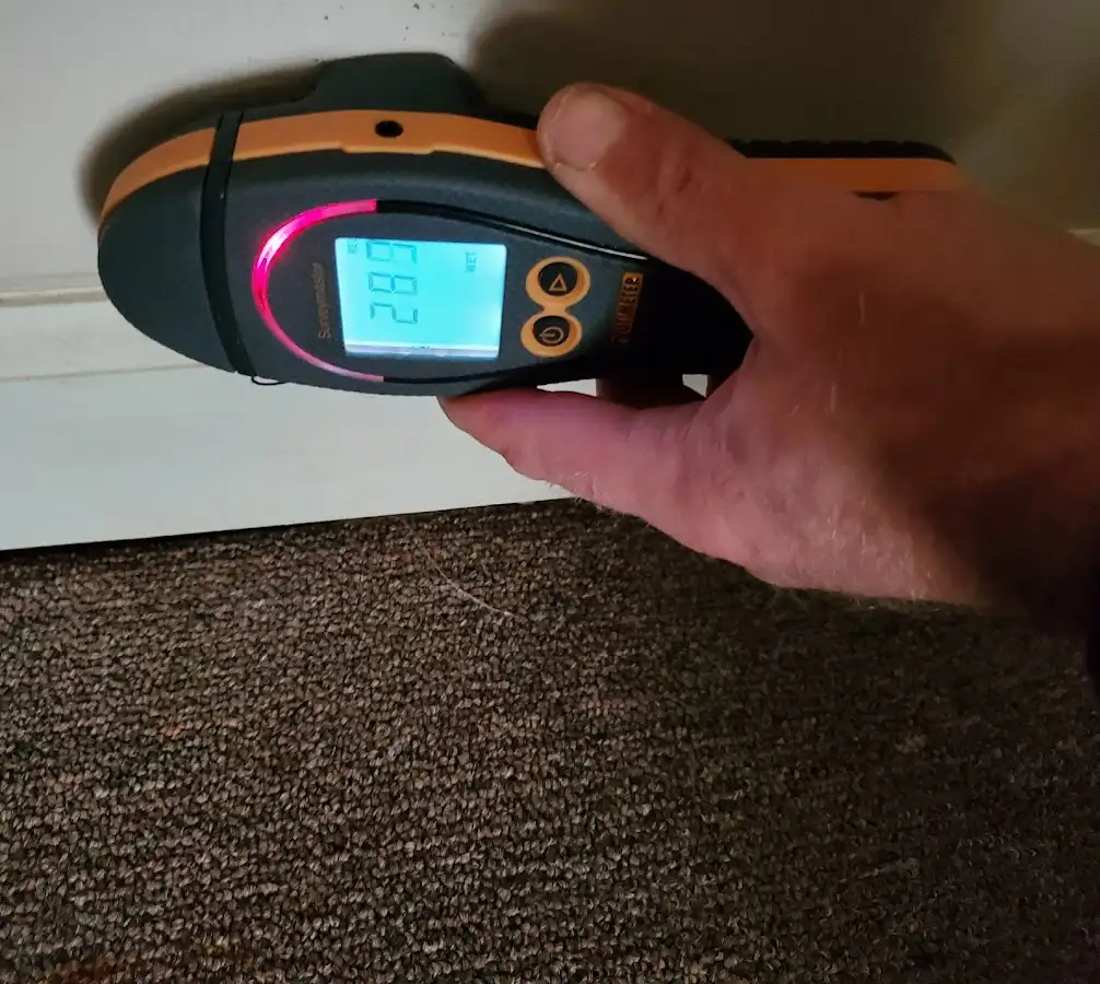 Moisture detection at baseboard during Mold Inspection & Testing in Snoqualmie